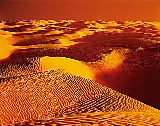 《集合啦！动物森友会》直面会10月15日进行 介绍11月更新内容