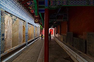 《F1 25》新预告片 展示游戏真实度和大量可定制选项